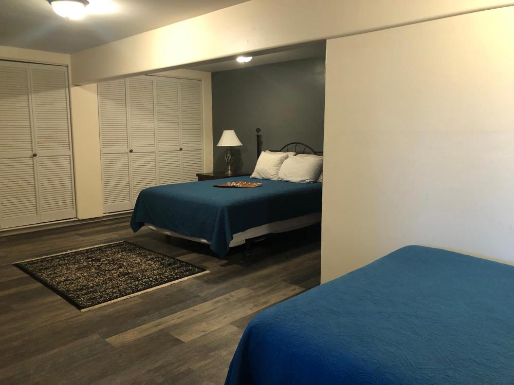 Deluxe Family Room interior